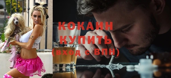 твердый Абаза
