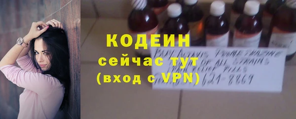 твердый Абаза